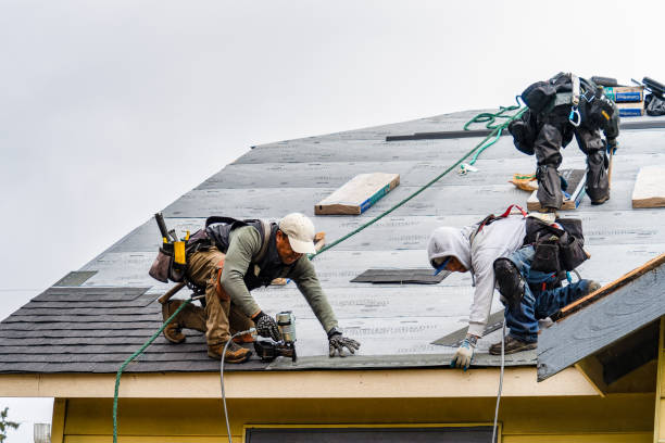 Professional Roofing technician working in Elba, NY